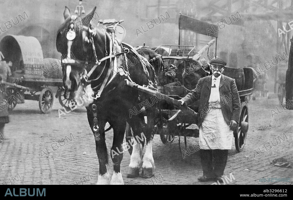 John Smith's Brewery Dray and Drayman. Tadcaster, 1910.