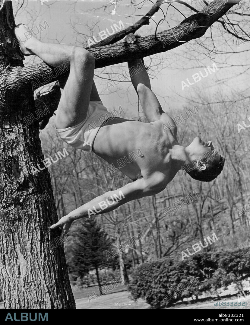 Boxer Trains For Fight By Nova Methods - Lou Nova a new star rising over the horison of prize fighting, trained for his fight with Max Baer at Dr. Pierre Bernard's Clarkstown Country Club in Rockland County, N.Y., where he prepared himself by yoga methods for the bout and he won... Among exercises recommended by Dr. Bernard is tree climbing, which is here zealously performed by Nova. Nova was a warded title Paramahamsas" which may be translated as "equally developed in mind and body." August 5, 1939. (Photo by Karger, Pix Publishing Inc.).