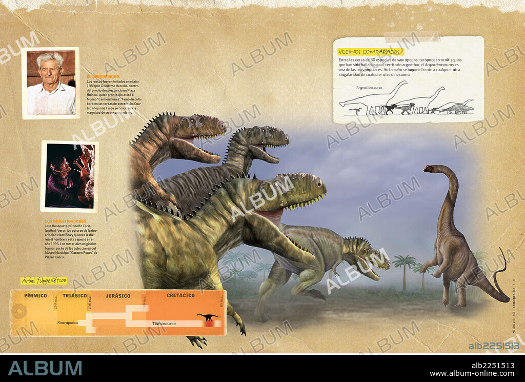 Características del Argentinosaurus. Infografía sobre el Argentinosaurio: cuál fue su descubridor, su tamaño comparado con el de otras especies de dinosaurios y su árbol filogenético.