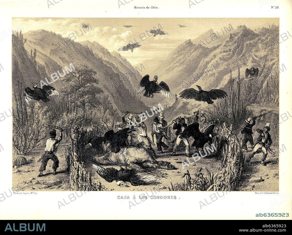 CLAUDIO GAY. CAZA A LOS CONDORES EN ATLAS DE LA HISTORIA FISICA Y POLITICA DE CHILE, 1854.