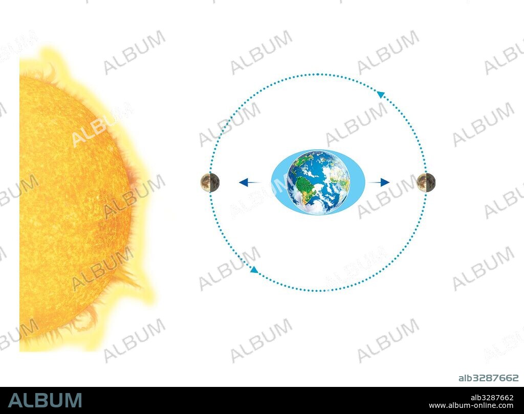 Las mareas – marea viva – Cuando la Luna y el Sol están alineados (luna llena y luna nueva) se producen  las mayores diferencias entre marea alta y baja.