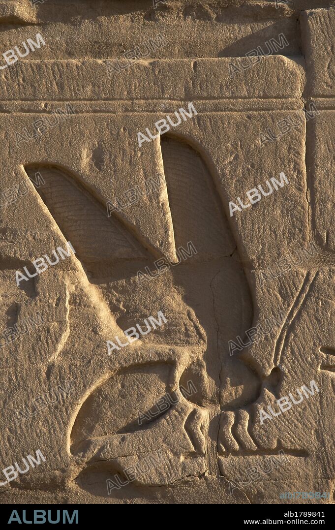 ARTE EGIPCIO. EGIPTO. Altorrelieve con la represetación del BAJO EGIPTO. LA ABEJA (símbolo del Bajo egipto, zona Norte del País). TEMPLO DE KARNAK. Noroeste de Luxor. Egipto. Imperio Nuevo.