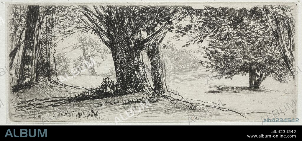 The Holly Field. Francis Seymour Haden (British, 1818-1910). Etching.