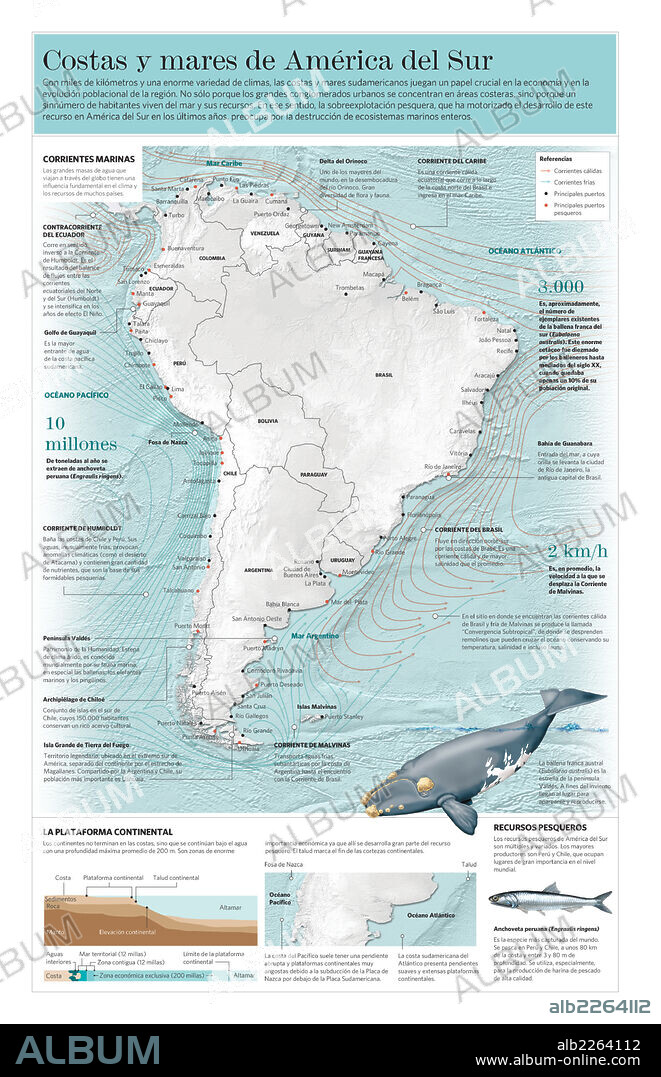 Costas y mares de América del Sur. Infografía de las costas y los mares que rodean América del Sur.