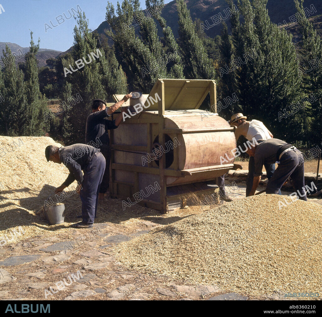 AVENTADORA O BELDADORA O CRIBADORA DE GRANO - FOTO AÑOS 60.