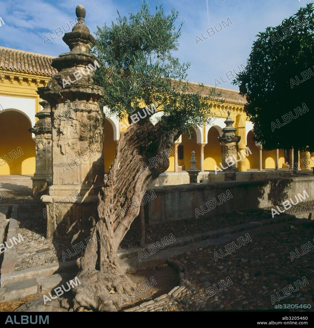 MEZQUITA DE CORDOBA.  FUENTE DEL PATIO DE LOS NARANJOS.  CORDOBA, ESPAÑA.