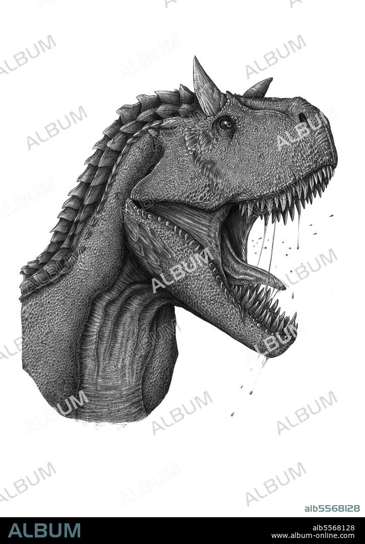 Carnotaurus dinosaur portrait on white background.