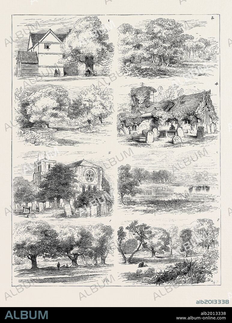 THE PRESERVATION OF EPPING FOREST 1. Queen Elizabeth's Lodge, Epping Forest. 2. Whipp's Cross. 3. Ambresbury Banks: Queen Boadicea's Camp. 4. Ruins of Chingford Church. 5. Waltham Abbey. 6. The Hollow Pond, Epping Forest. 7. Queen Elizabeth's Glades, Epping Forest. 8. High Beech Glades, Epping Forest.