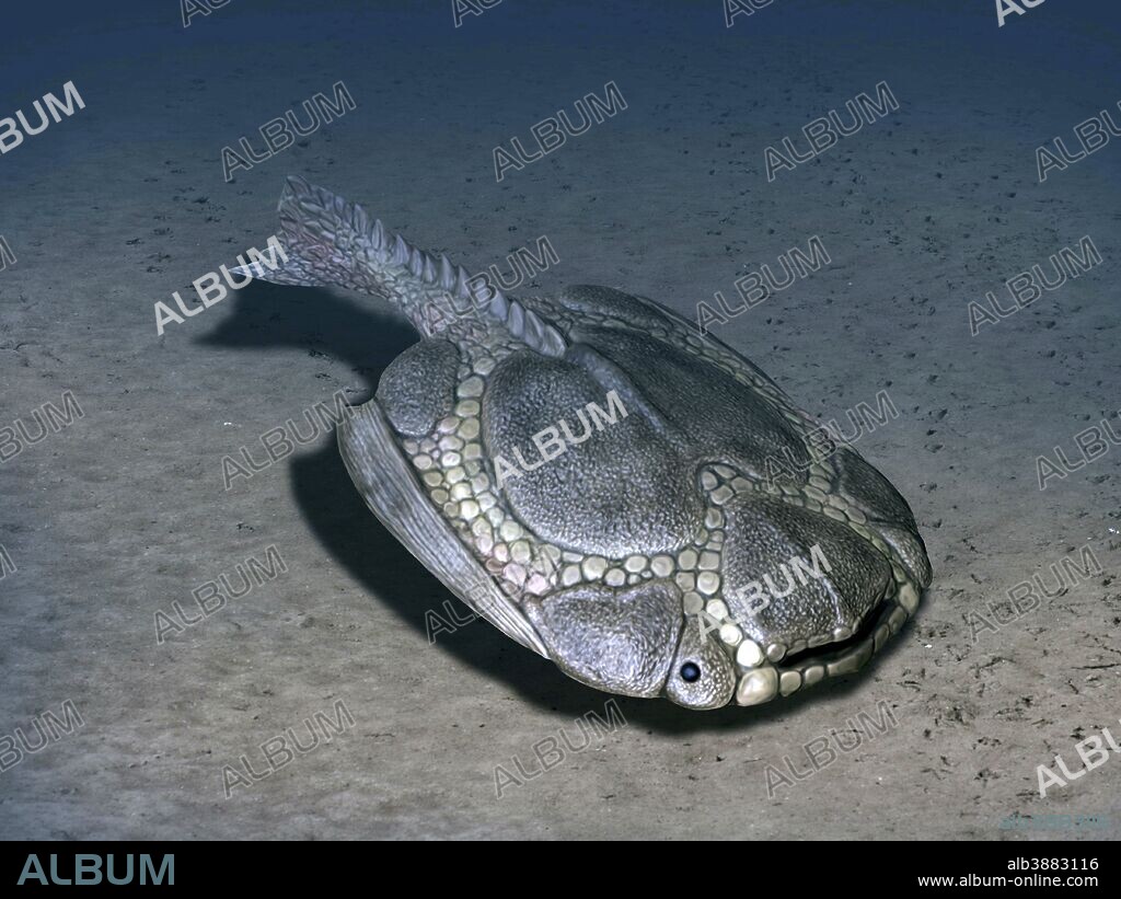 Drepanaspis gemuendenensis is a jawless fish from the Early Devonian of Germany.
