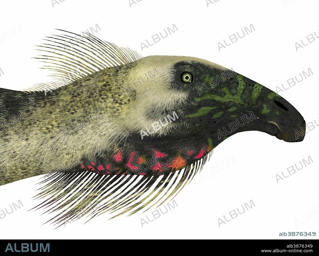 Beipiaosaurus dinosaur head. Beipiaosaurus was a herbivorous theropod dinosaur that lived in China during the Cretaceous Period.