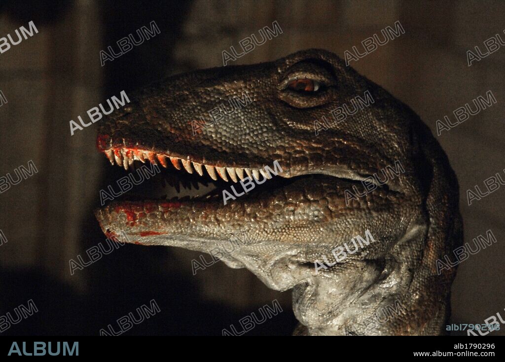 Reproduction of a Deinonychus (Deinonychus antirrhopus). Lower Cretaceous. 119-97 million years ago. Head's detail. Natural History Museum. London. United Kingdom.