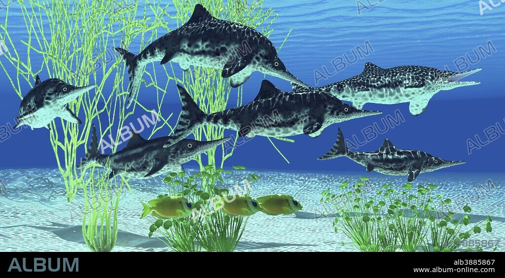 Stenopterygius is an extinct icthyosaur from the Jurassic Age of Europe.