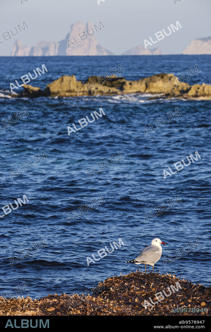 Espalmador Island, Estret des Pas, Es Trucadors , Formentera, Pitiusas Islands, Balearic Community, Spain.