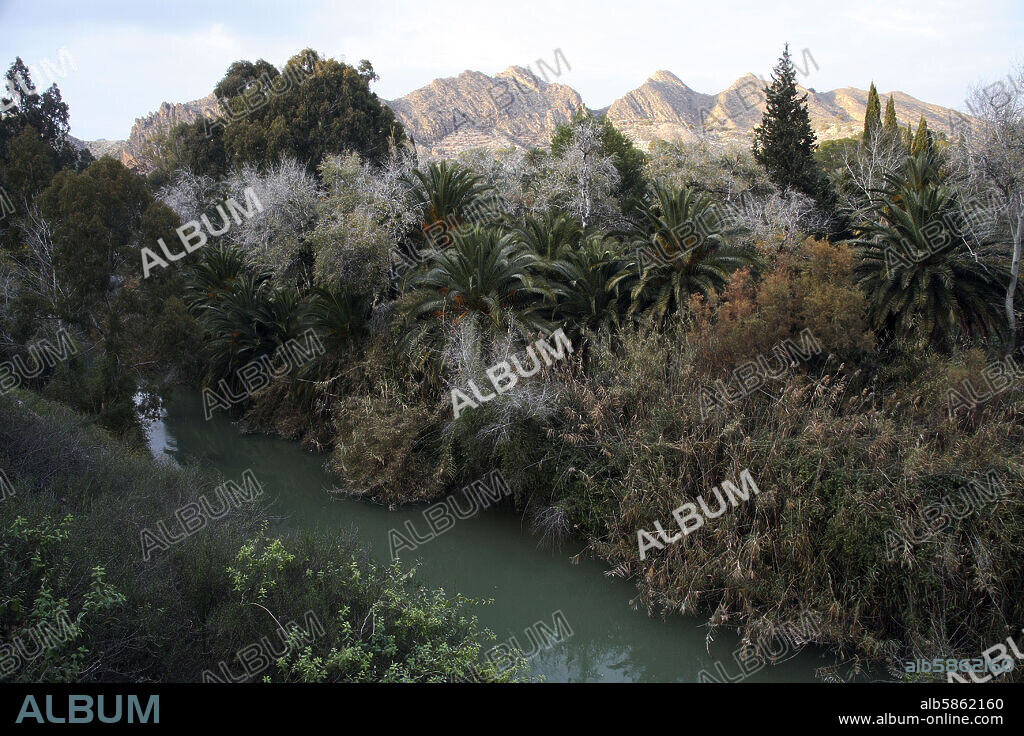 Archena; Parque natural del río Segura cerca del Balneario de Archena.