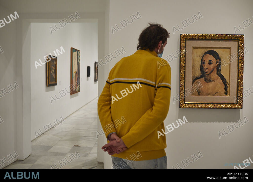 Madrid, 10/02/2022. Centro de Arte Reina Sofía. El cuadro de Pablo Picasso 'Busto de mujer joven', se acaba de colgar en las paredes del Museo, ya propiedad del Estado, tras el litigio con los Botin. Foto: Guillermo Navarro. ARCHDC.