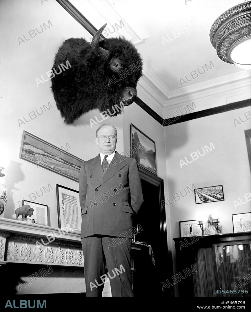 Senator Burton K. Wheeler, of Montana standing in his office beneath a buffalo head circa 1939.