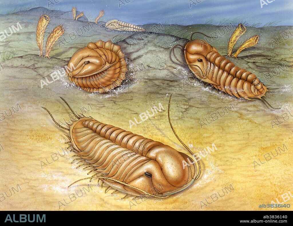 Trilobite ocean scene