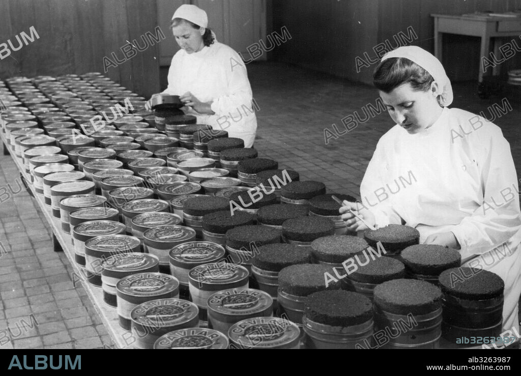 Soviet Caviar production. Packing black caviar for export. The pressed caviar department of the Kirov fishery in Azerbaijan. Controllers A. Andreyeva and M. Myssova inspecting the quality of the caviar prior to packing. August 1947.