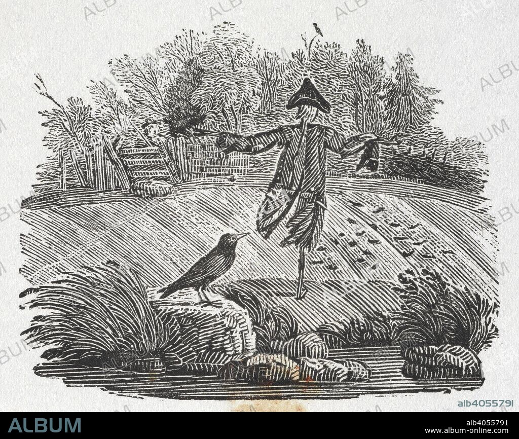 THOMAS BEWICK. A scarecrow and a bird. Vignettes. From works written and works containing illustrations by T. Bewick. Newcastle upon Tyne : Edward Walker, 1827. Source: 554.d.33.