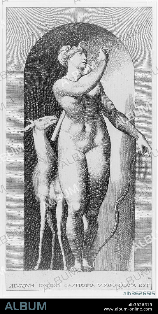 Plate 12: Diana standing in a niche, twisting to her left and pulling an arrow out of a quiver, with a deer to her right, from a series of mythological gods and goddesses. Artist: Giovanni Jacopo Caraglio (Italian, Parma or Verona ca. 1500/1505-1565 Krakow (?)); After Rosso Fiorentino (Italian, Florence 1494-1540 Fontainebleau). Dimensions: Sheet: 8 1/4 × 4 5/16 in. (21 × 10.9 cm). Series/Portfolio: Series of mythological gods and goddesses. Date: 1526.
Dated 1526, this print is one of a series of twenty depicting gods in niches, drawn for the engraver Caraglio by the Florentine Mannerist artist, Rosso Fiorentino.