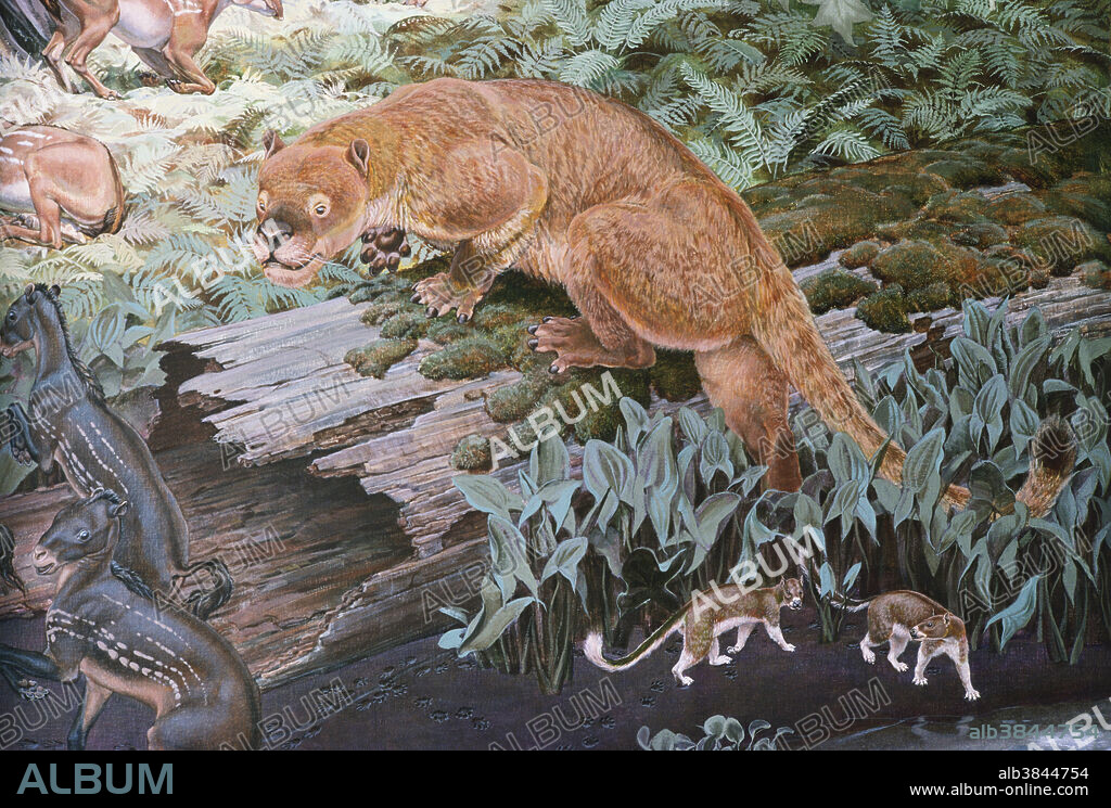 Illustration of Patriofelis, a large cat-like mammal, and Hyopsodus, small plant-eaters, from the National Museum of Natural History, Patriofelis and Hyopsodus were found in Wyoming during the Middle Eocene Epoch.