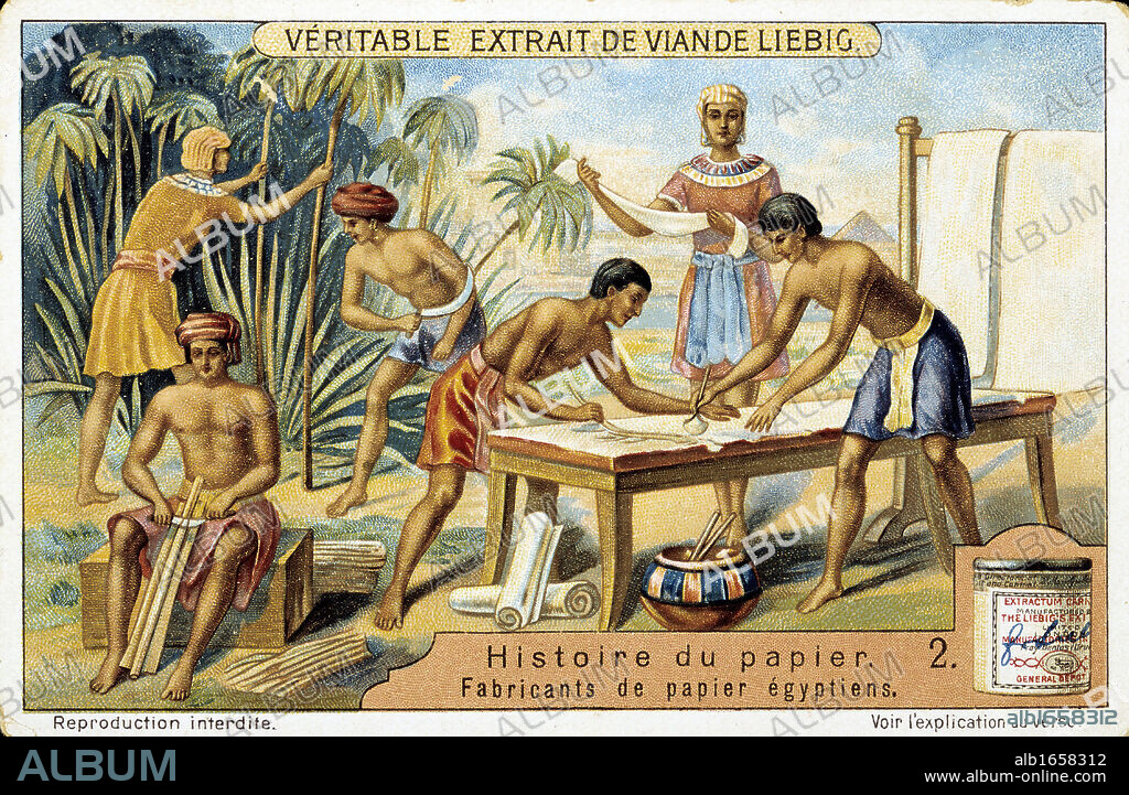 Papyrus reed (Cyperus papyrus) being used to make writing material. Stem of the reed used to make a form of paper. Also used to produce fibre for sails, mats, cloth, etc, and roots used as fuel. Pith used as food. Artist's reconstruction. Liebig trade ca.