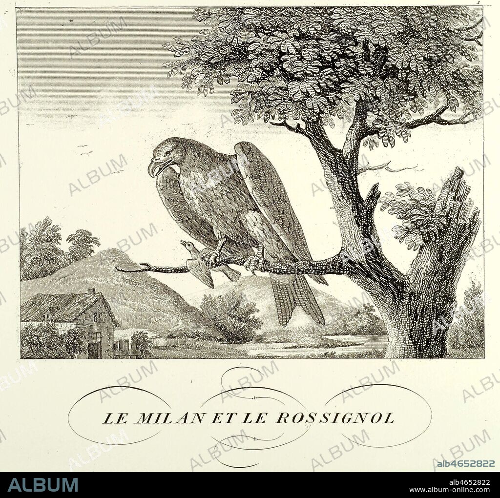 'Le milan et le rossignol' : Fable de Jean de La FONTAINE (1621-1695), Illustration de 1834 par GOUGET (18-19 s.). Credit: Collection Jonas/Kharbine-Tapabor.