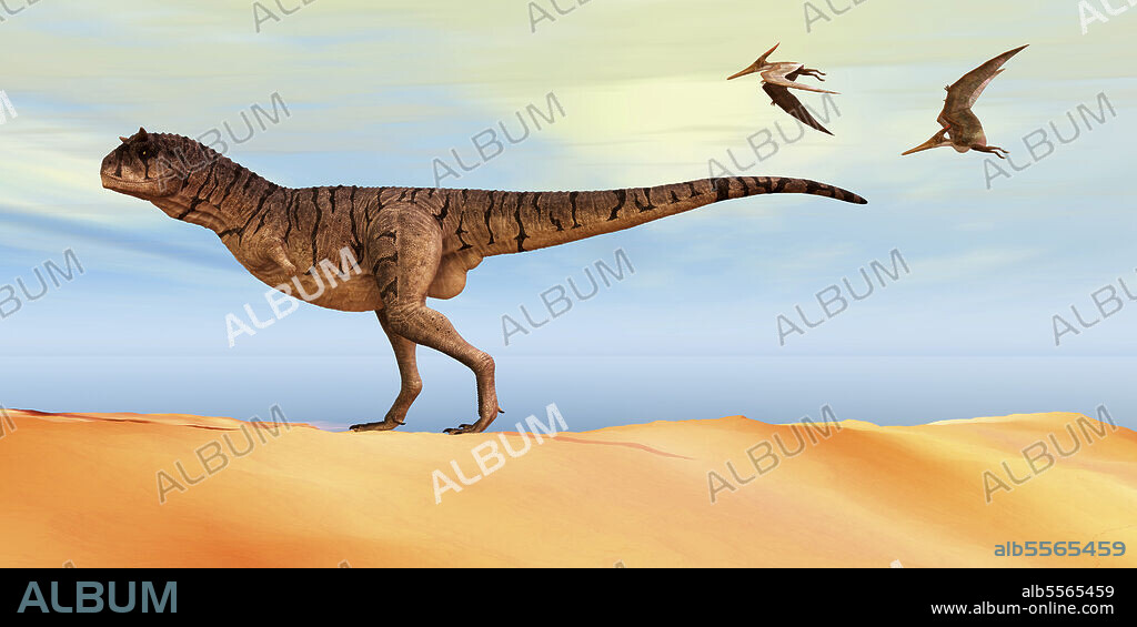 Pteranodon flying reptiles follow a Carnotaurus theropod dinosaur on the hunt for his next prey during the Cretaceous Period.