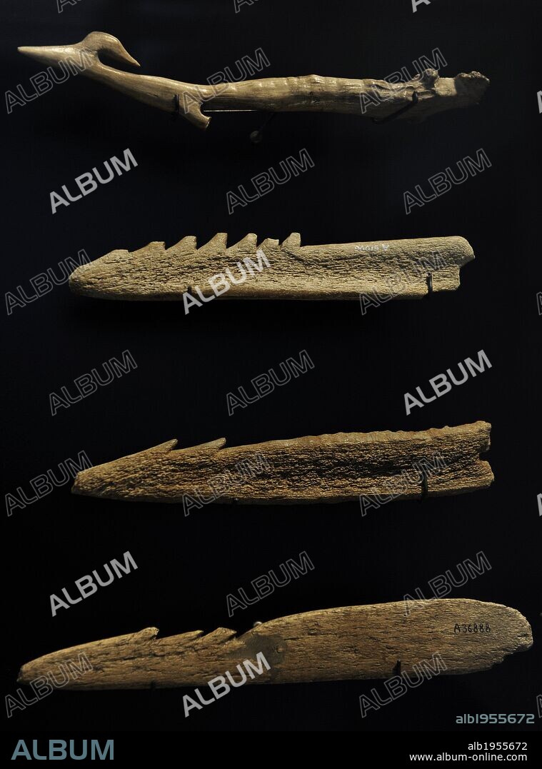 Harpoons of deer antler for hunting small whales and seals. 6500-4000 BC. From Zealand coasts and fjords of Eastern Jutland. National Museum of Denmark. Copenhagen. Denmark.