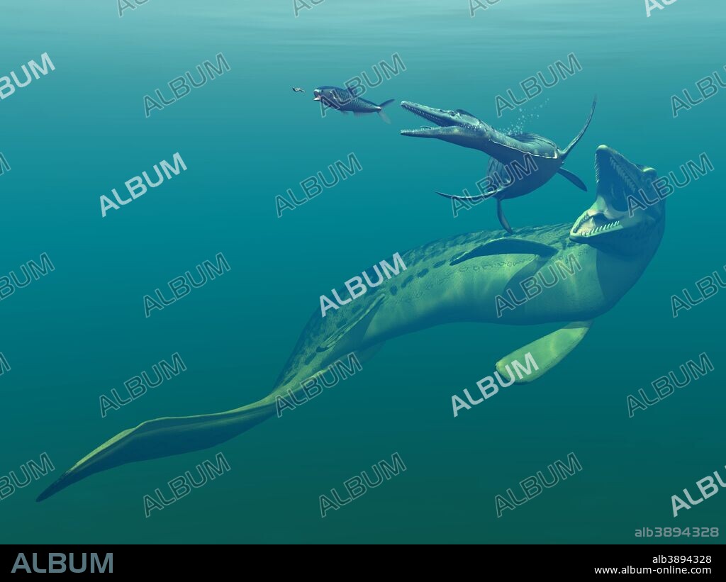 Artist's concept of primary marine predators that shared the ocean waters of the Western Interior Seaway of North America 75 million years ago. Left to right is a non-descript invertebrate pursued by a 4 foot long Enchodus, followed by a 17 foot long Dolichorhynchops, followed by a 55 foot long Mosasaur.