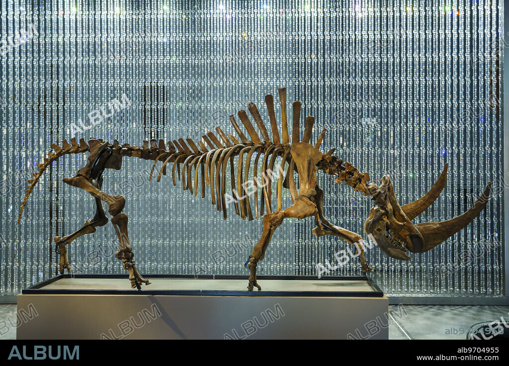 curtain of Swarovski crystals and fossilized skeleton of Siberian woolly rhinoceros (Coelodonta antiquitatis), Sa Bassa Blanca Museum (msbb). Yannick Vu and Ben Jakober , Alcudia, Majorca, Spain.