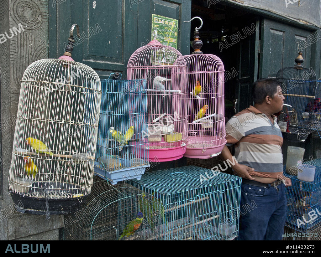 Bird market in Yogyakarta, Indonesia, Southeast Asia, Asia.