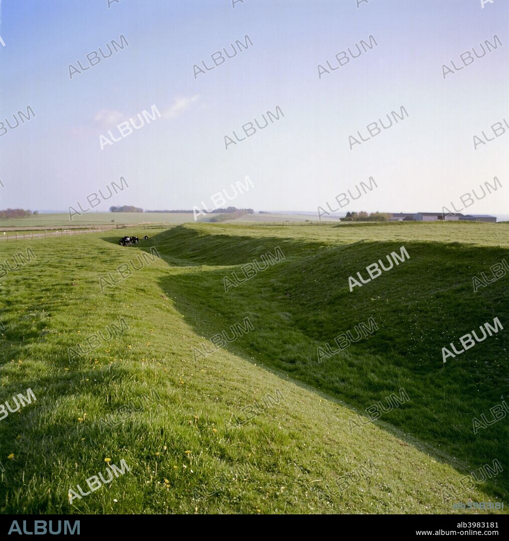 Knook Castle, Wiltshire, 1999. Knook Castle is an irregular enclosure on the level downland. It is probably the remains of an iron age fort. In the distance it is just possible to make out a herd of cows grazing in the entrenchment.