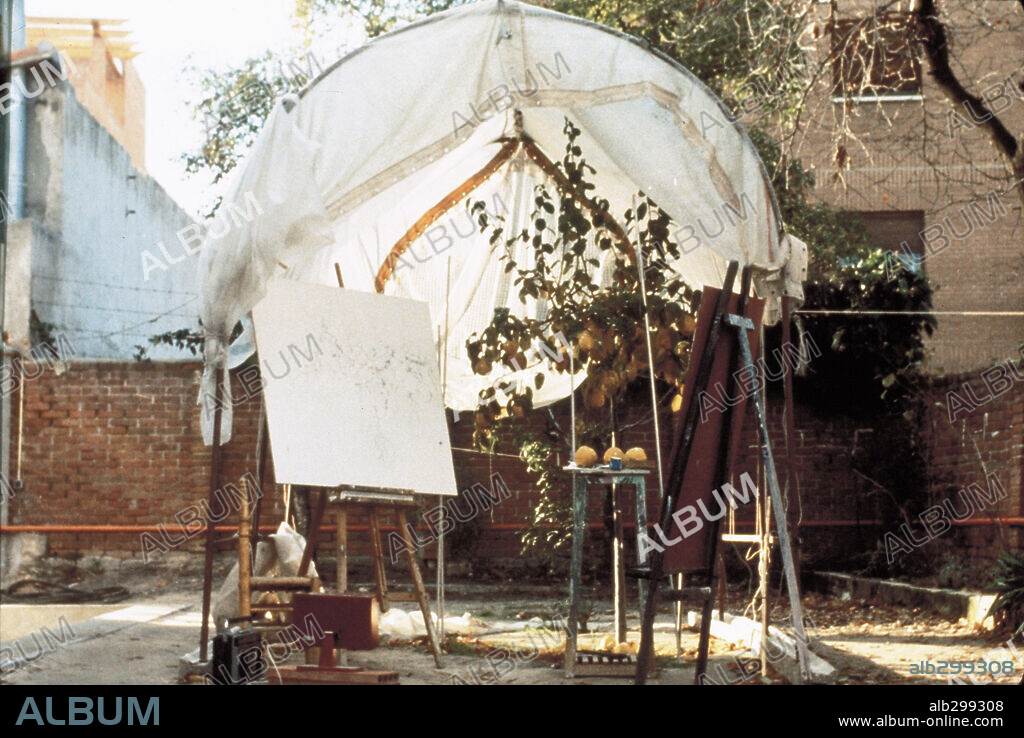 THE DREAM OF LIGHT, 1992 (EL SOL DEL MEMBRILLO), directed by VICTOR ERICE. Copyright MARIA MORENO.