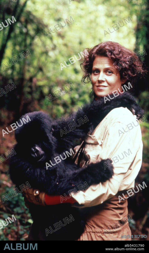 GORILLAS IN THE MIST: THE STORY OF DIAN FOSSEY, 1988, unter der Regie von MICHAEL APTED. Copyright WARNER BROTHERS.