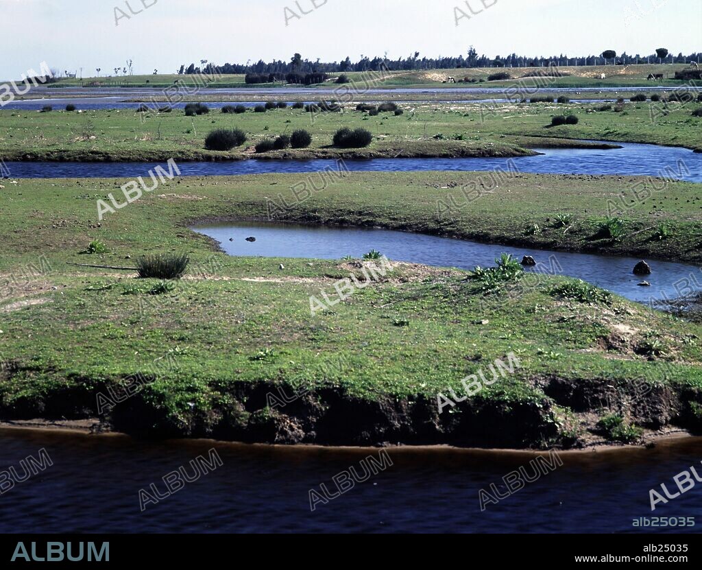 Marismas. Parque Nacional de Doñana (declarado parque nacional en 1969). Huelva, Andalucía.