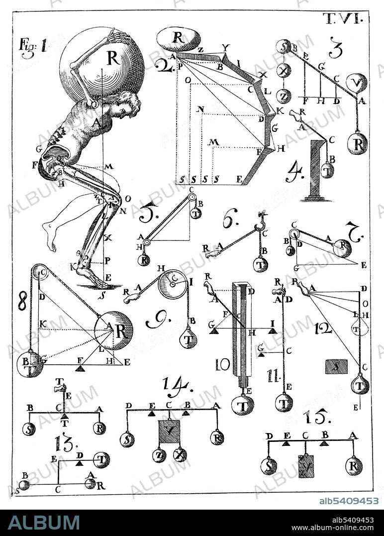 De motu animalium, 1734 edition. Table VI. Giovanni Alfonso Borelli (January 28, 1608 - December 31, 1679) was a Renaissance Italian physiologist, physicist, and mathematician. He contributed to the modern principle of scientific investigation by continuing Galileo's custom of testing hypotheses against observation. Trained in mathematics, Borelli also made extensive studies of Jupiter's moons, the mechanics of animal locomotion and, in microscopy, of the constituents of blood. He also used microscopy to investigate the stomatal movement of plants, and undertook studies in medicine and geology. During his career, he enjoyed the protection of Queen Christina of Sweden, which sheltered him from the attacks from the Italian authorities suffered by Galileo. Borelli’s major scientific achievements are focused around his investigation into biomechanics. For his is publications, De Motu Animalium I and De Motu Animalium II (published posthumously, Borelli is labeled as the father of modern biomechanics. He died in 1679 at the age of 71.