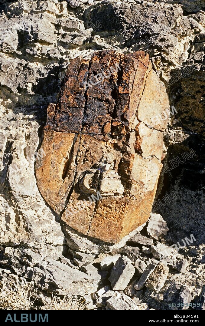 Sedimentary rocks are characterized by layers, a feature known as bedding. Bedded rocks often contain fossils and provide a snapshot of periods of earth history. Earth movements can bend layers of sediments, producing 'wrinkles' known as folds. Earth movements can also uplift bedded sedimentary rocks, sometimes to very steep angles. The photo shows a chert (silica) nodule that formed within carbonate sediments in an ancient sea, which were then later compacted and uplifted. The carbonate sediments were compacted into the rock known as limestone.