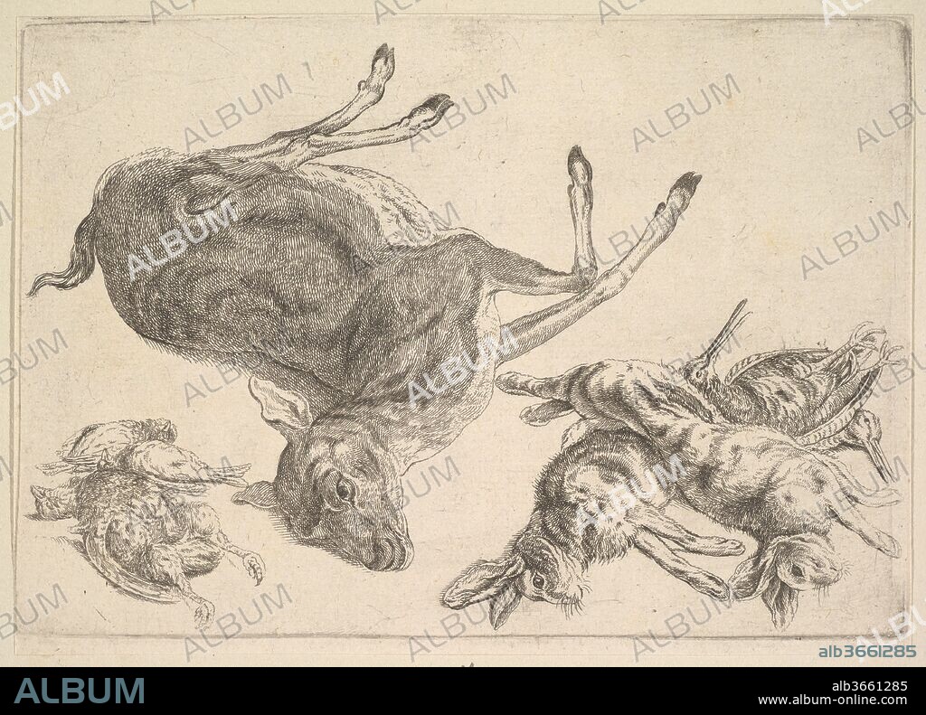 Dead deer, hares and game. Artist: Wenceslaus Hollar (Bohemian, Prague 1607-1677 London). Dimensions: Plate: 5 3/8 × 7 3/4 in. (13.6 × 19.7 cm)
Sheet: 5 9/16 × 7 13/16 in. (14.2 × 19.9 cm). Series/Portfolio: Hounds, hunting equipment and game (NH 887-906). Date: 1625-77.
One dead deer, two dead hares and five dead game birds.
