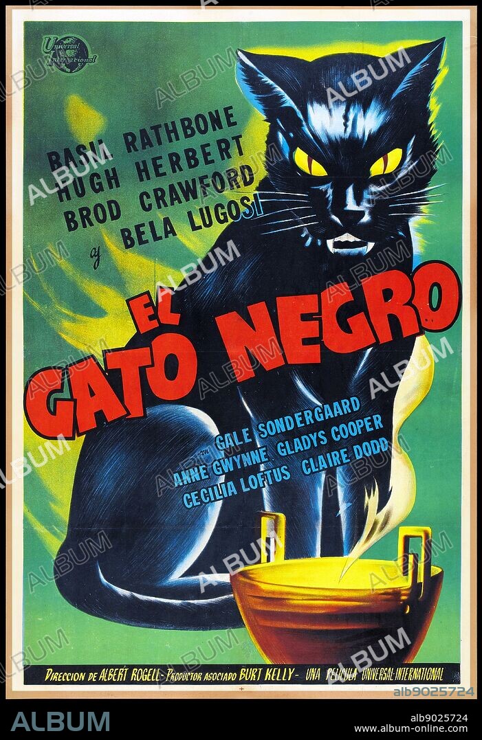 (El Gato Negro) Spanish film poster for the Black Cat a 1941 film based on the short story by Edgar Allan Poe. The comedy/horror film was directed by Albert S. Rogell, starring Basil Rathbone and featuring supporting performances by Bela Lugosi and Alan Ladd.