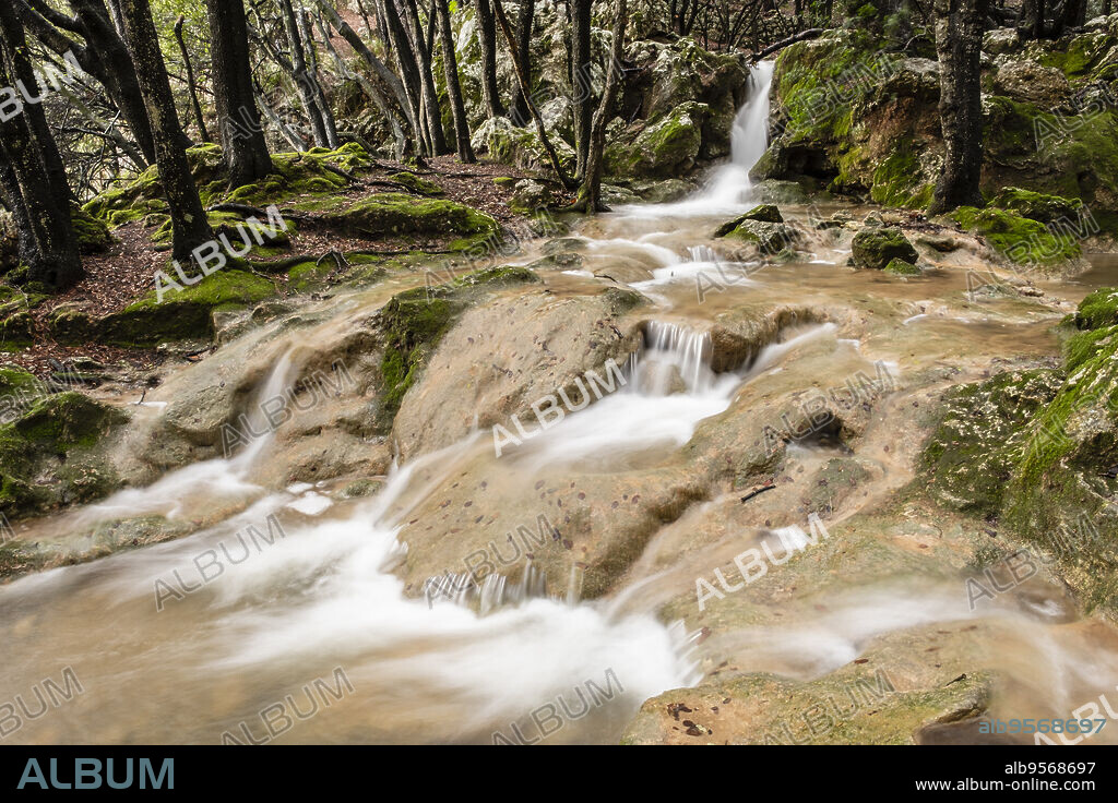 Torrent de Coanegra, Orient, Bunyola, Mallorca, Balearic Islands, Spain.