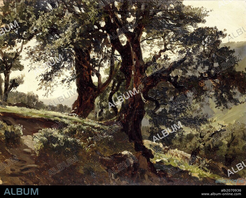 Carlos de Haes / 'Robles (Picos de Europa)', Hacia 1874, Escuela Española, Óleo sobre papel pegado en lienzo, 33,2 cm x 43 cm, P06023.