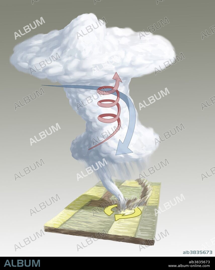 Illustration showing the formation of a tornado. A wind shear forms; surface winds roll air into a horizontal tube. Sun warmed air lifts a section of the vortex vertically creating an updraft. A storm forms; one side of the vortex becomes stronger and forms into a thunderstorm, while the other side dies. A supercell is formed when a mesocyclone pulls more warm air up into the storm, allowing it to grow. The rotation can be enhanced by the interaction of cold and warm air currents (red and blue arrows).The spin then intensifies and a rotating column of air will break through the wall cloud and hit the ground.