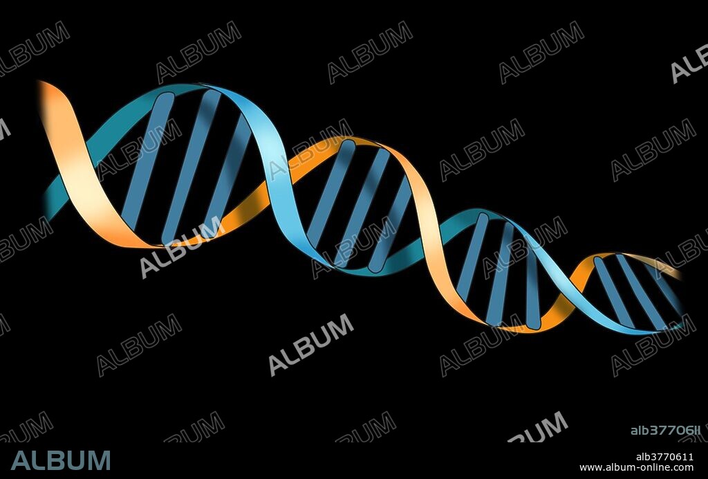 DNA, Double Helix. Illustration.
