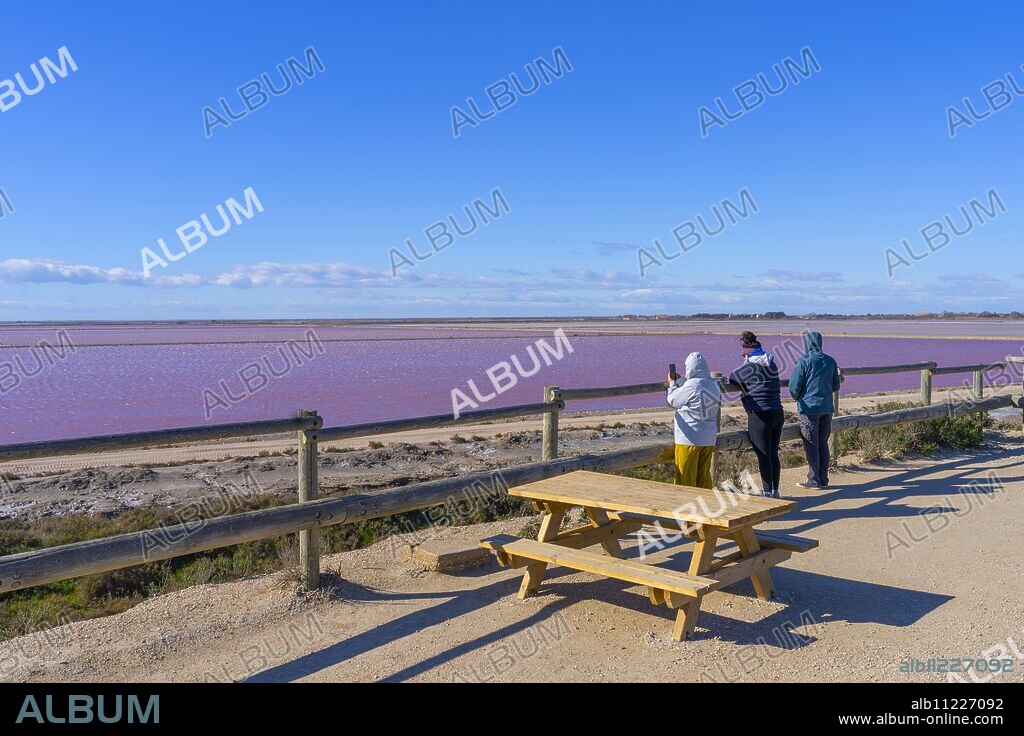 Salin-de-Giraud, Arles, Bouches-du-Rhone, Provence-Alpes-Cote d'Azur, France, Mediterranean, Europe.