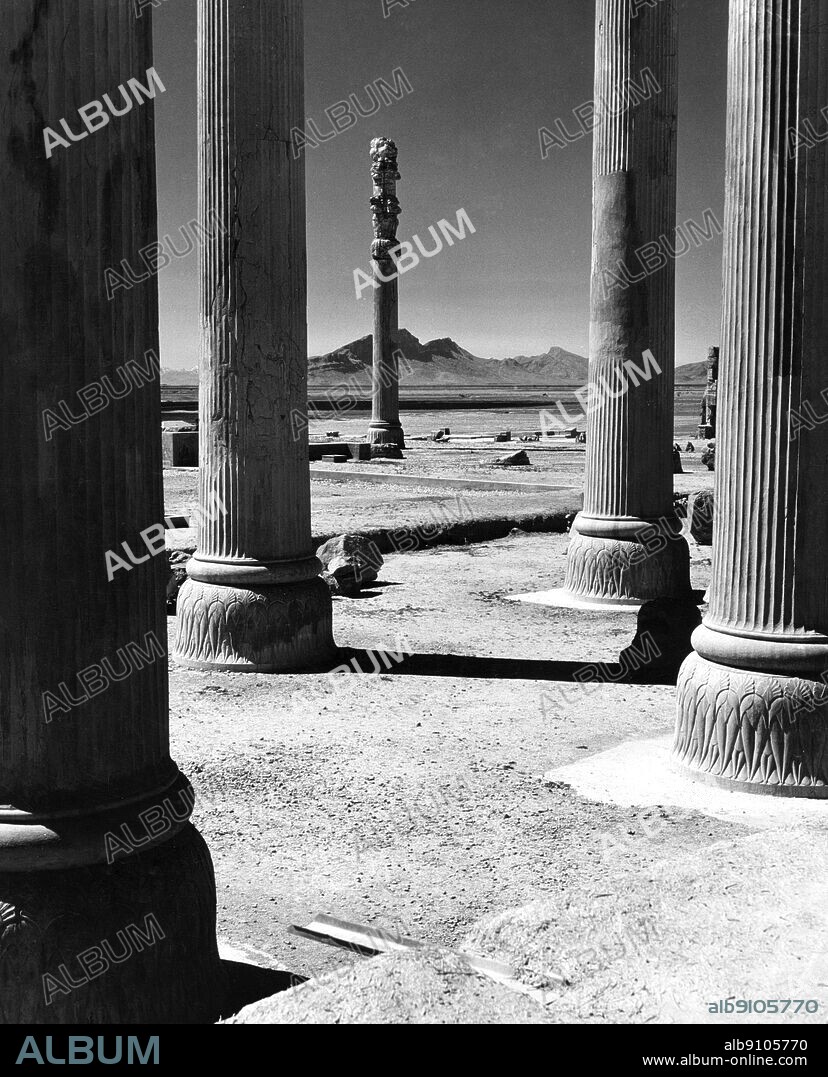 Apadana Palace , Persepolis : Ancient city of Persia , capital of the Persian Empire, founded by Darius . Near to modern Shiraz , Iran. Each column was 19m high with a square Taurus and plinth to hold up the original heavy ceiling.