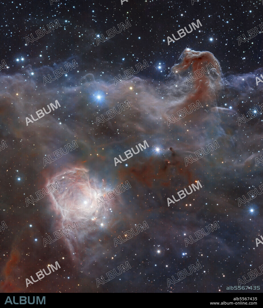 The spectacular star-forming region known as the Flame Nebula, or NGC 2024, in the constellation of Orion and its surroundings. Taken in infrared wavelengths, the cluster of very young stars at the objects heart is revealed. Also visible is the glow of the reflection nebula NGC 2023, just below centre, and the ghostly outline of the Horsehead Nebula (Barnard 33) towards the lower right. The bright bluish star towards the right is one of the three bright stars forming the Belt of Orion.