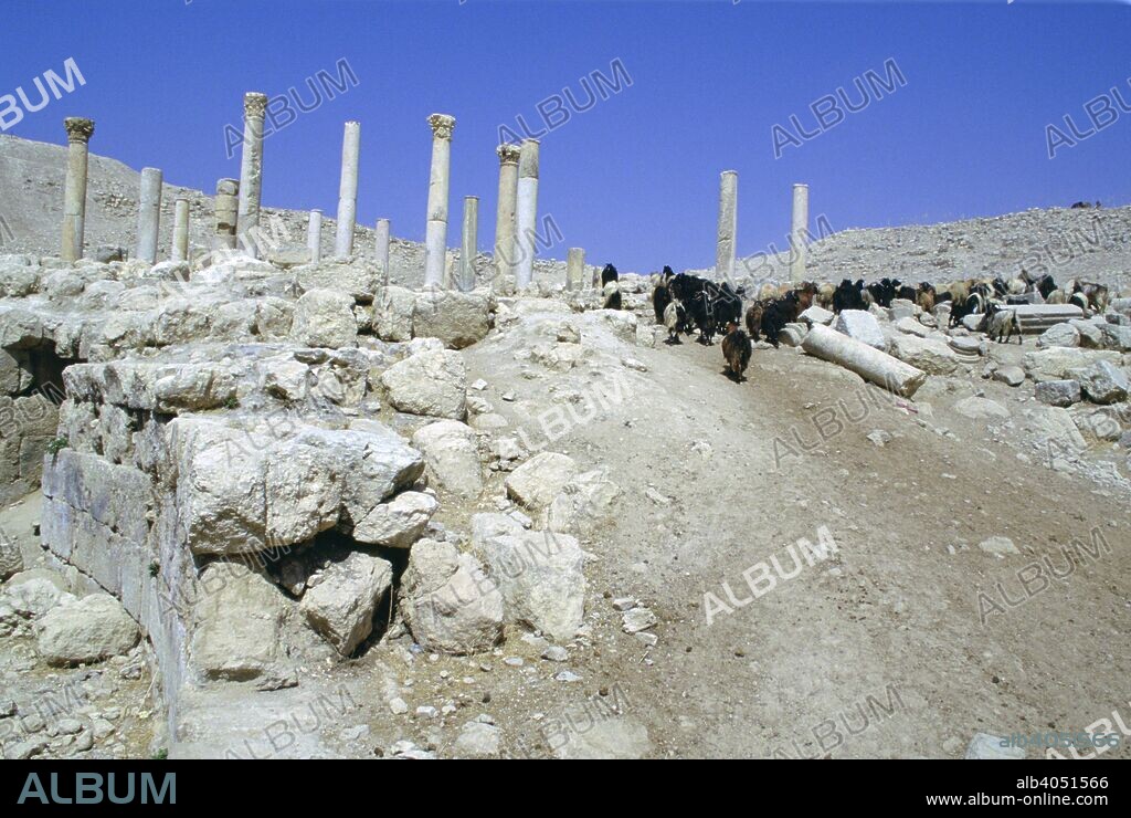 Ruins of the ancient city of Pella, Jordan. During Roman times Pella was one of the cities of the Decapolis, a group of ten cities on the eastern edge of the Empire in Judea and Syria. It was the site of one of the earliest Christian churches. The city was destroyed by the Golan earthquake of 749.