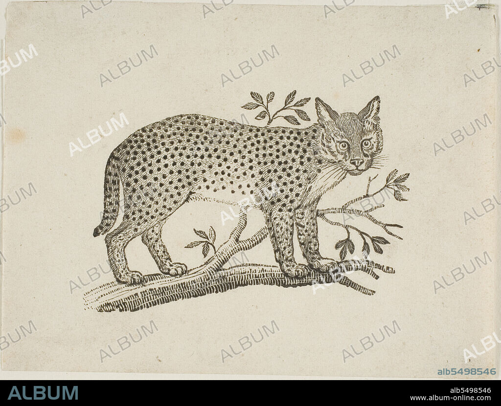 THOMAS BEWICK. The Serval, n.d.