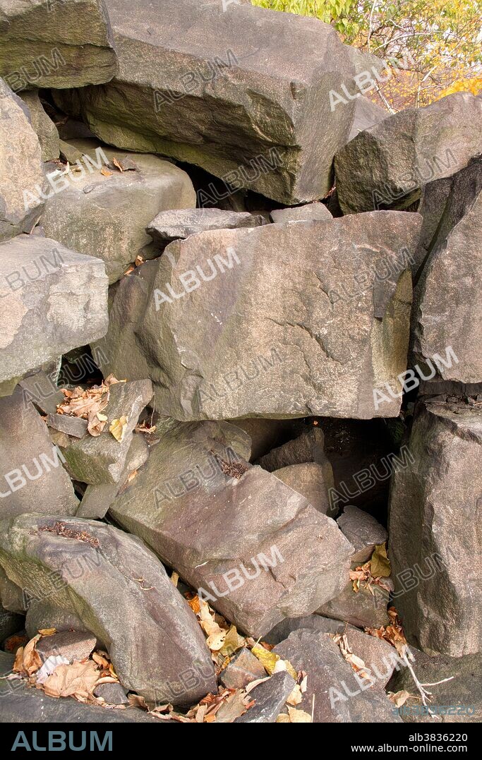 Allegheny Woodrat Habitat
